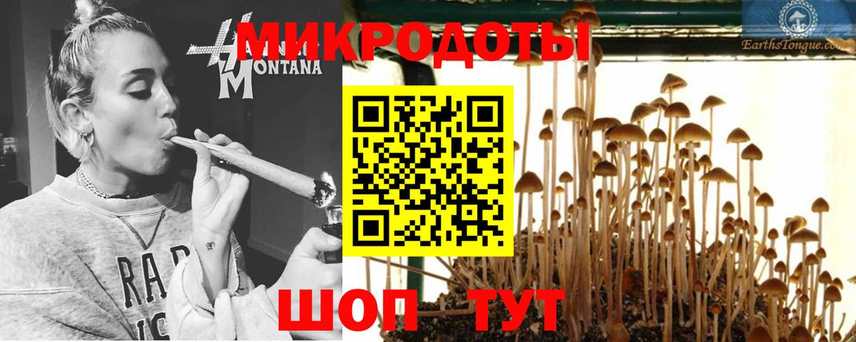 Псилоцибиновые грибы Psilocybe  Галлюциногенные грибы Cubensis  Великие Луки  Вход с VPN 